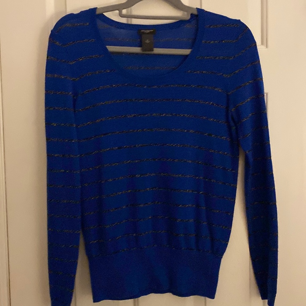 Ann Taylor Sweater